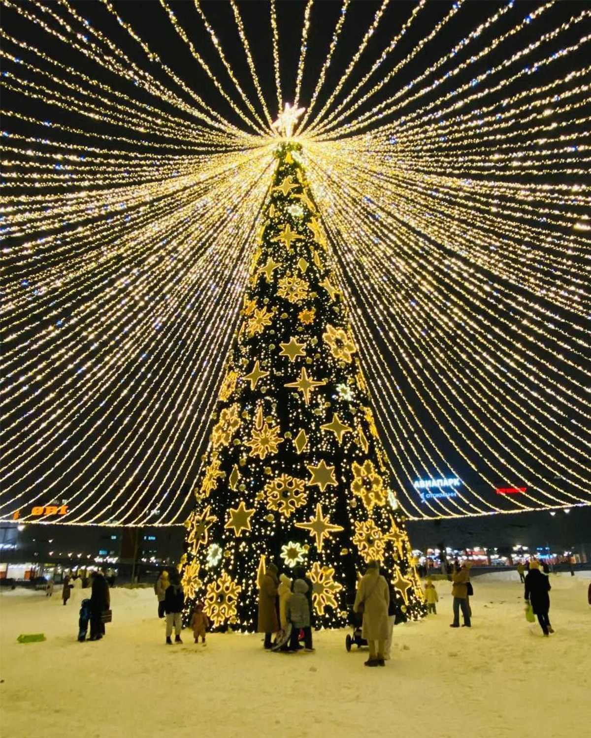 6m / 20ft, 10m / 33ft, 15m / 50ft Outdoor LED Christmas Tree – Custom Sizes Available, Modular Holiday Display