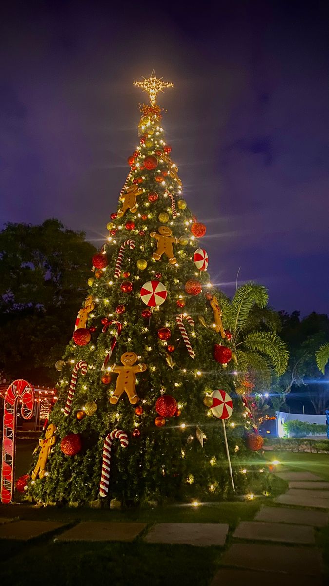 Luxury Outdoor Christmas Tree – 6m / 20ft, 10m / 33ft, 15m / 50ft | Elegant Holiday Decor with Lights & Ornaments