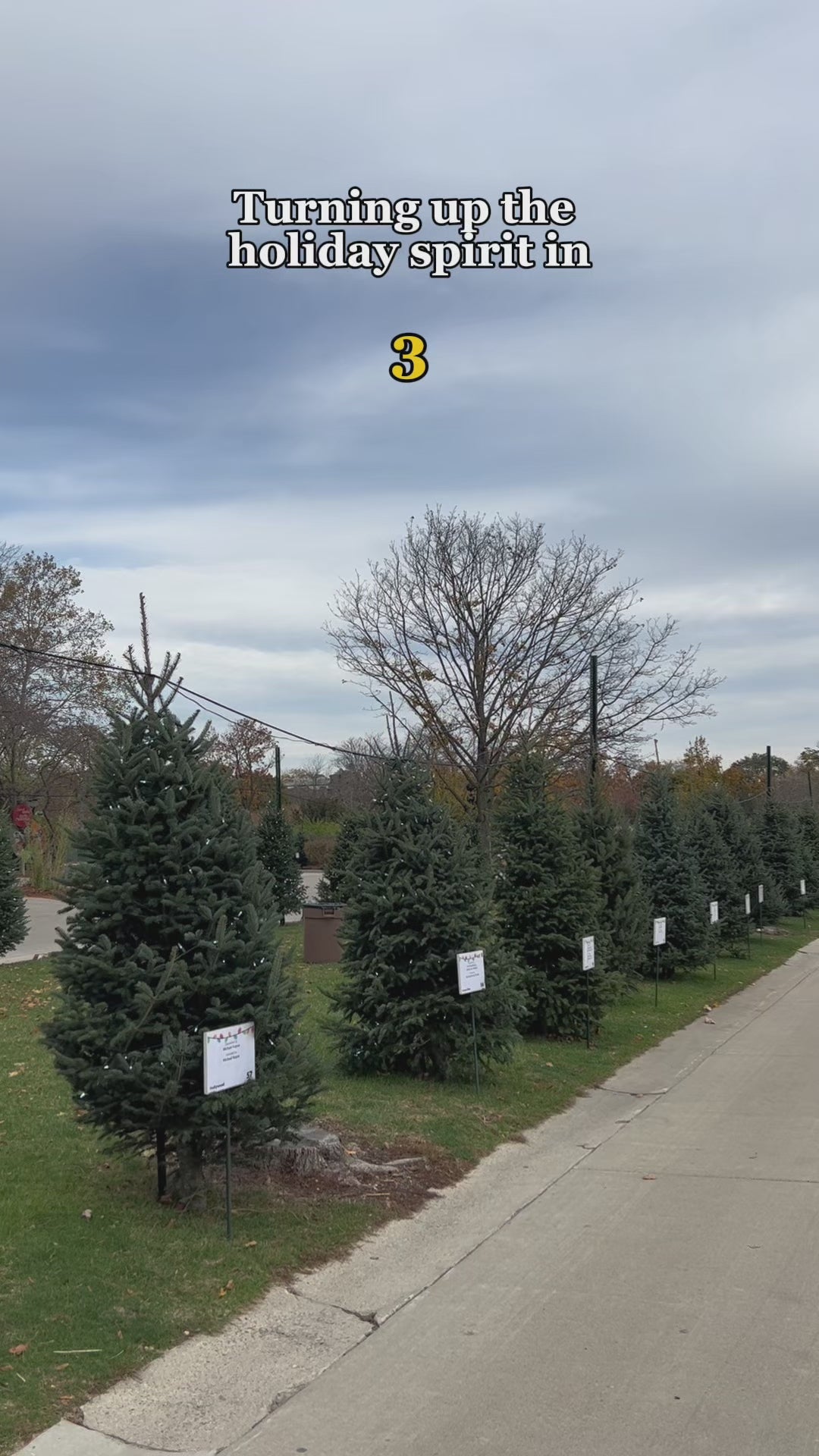 Giant Commercial Walk-through LED Snowman Sculpture - 6M(20FT) / 9M(30FT)